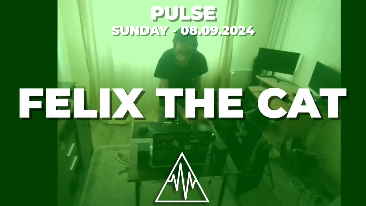 Felix the cat @ Pulse 2024 - Sunday Image